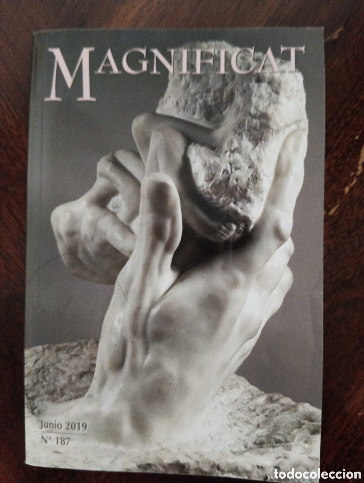 Libros de segunda mano: Magnificat, junio 2019