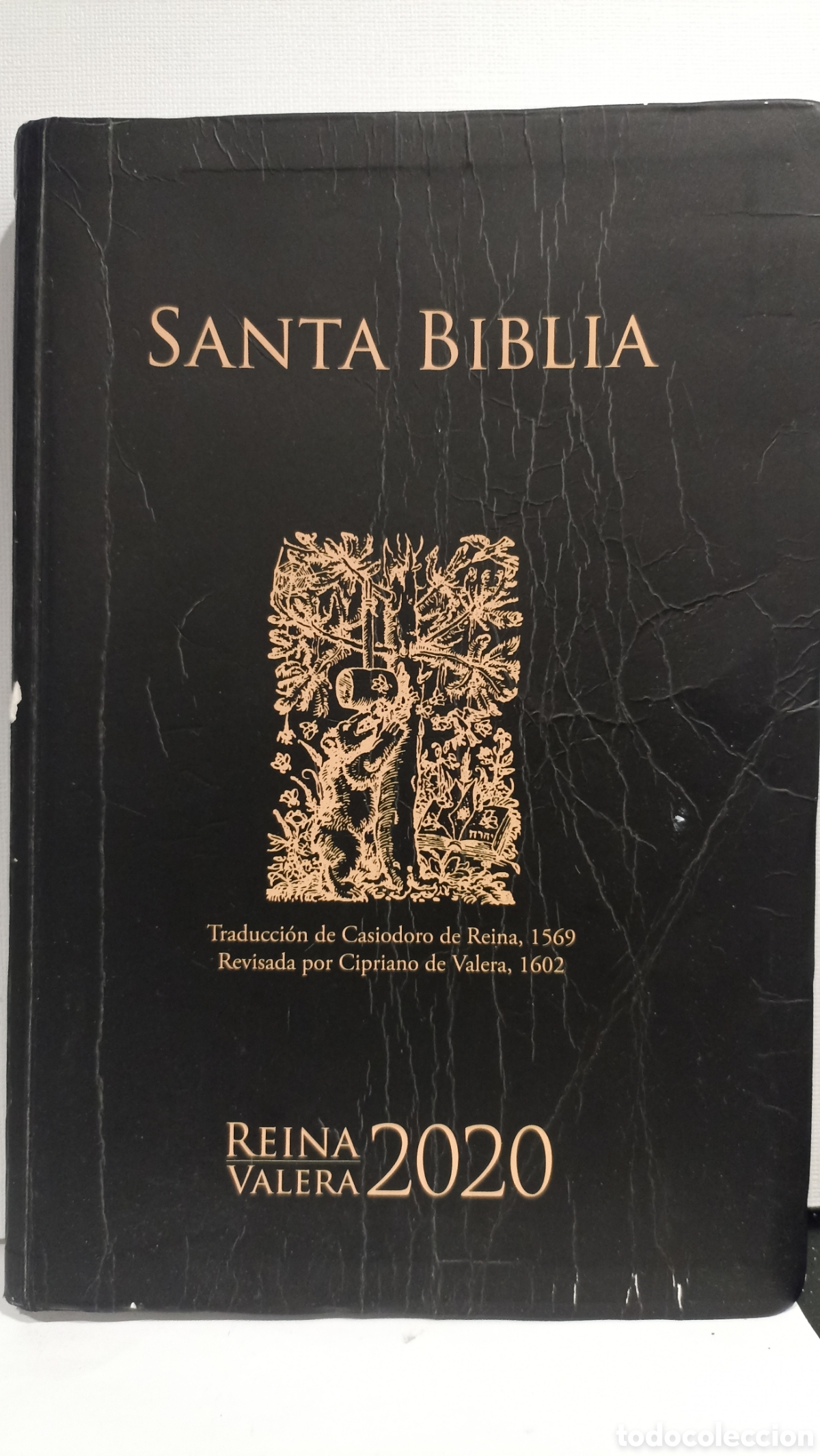 Libros de segunda mano: Santa Biblia en la versi&oacute;n Reina-Valera 2020.
