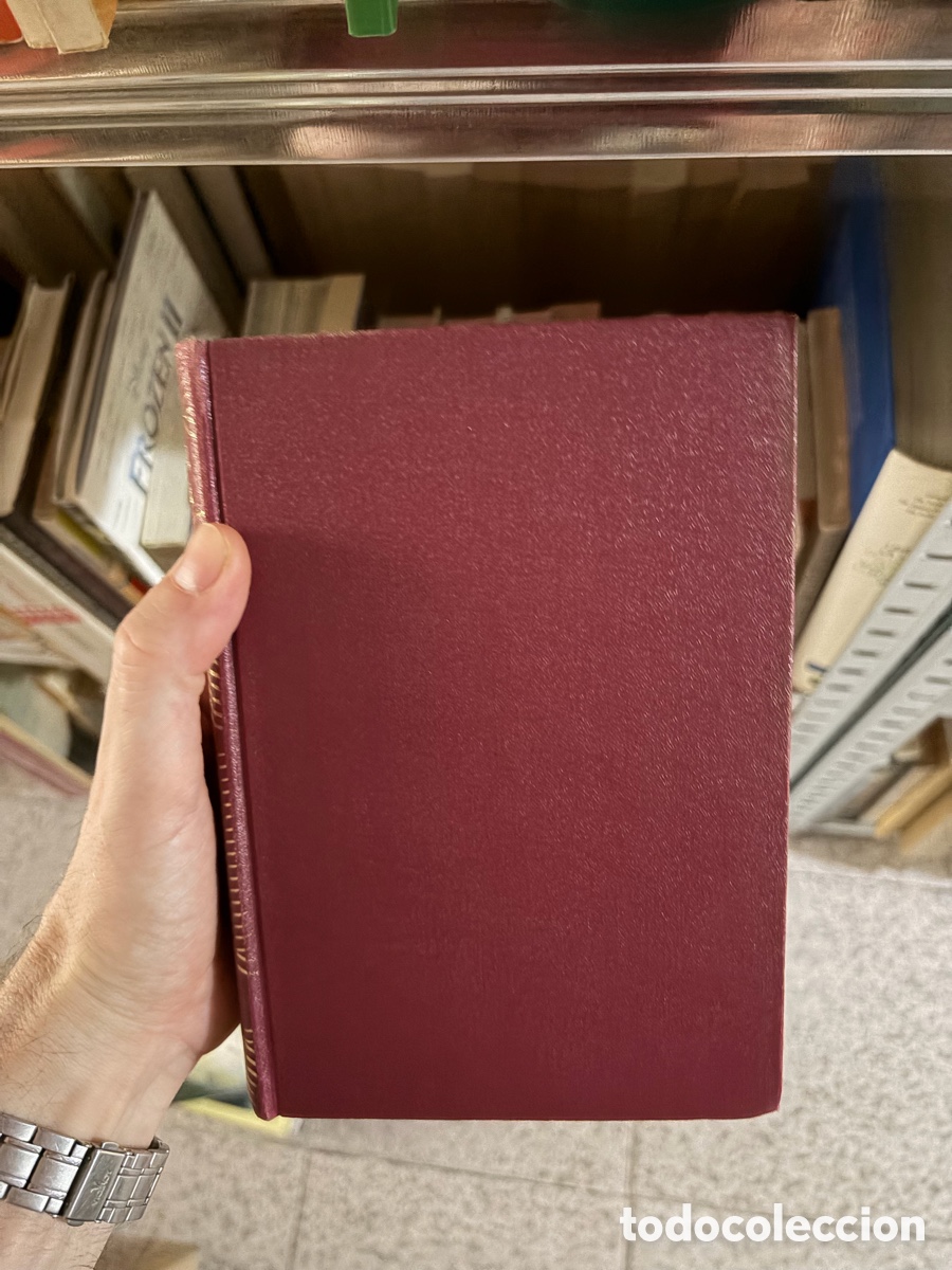 Libros de segunda mano: Blas82E LA SANTA BIBLIA ANTIGUO Y NUEVO TESTAMENTO ANTIGUA VERSI&Oacute;N DE CASIODORO DE REINA (1569)