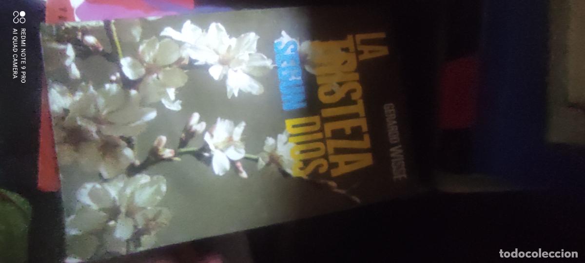 Libros de segunda mano: LA TRISTEZA SEGUN DIOS, por Gerardo Wisses (a.1977)