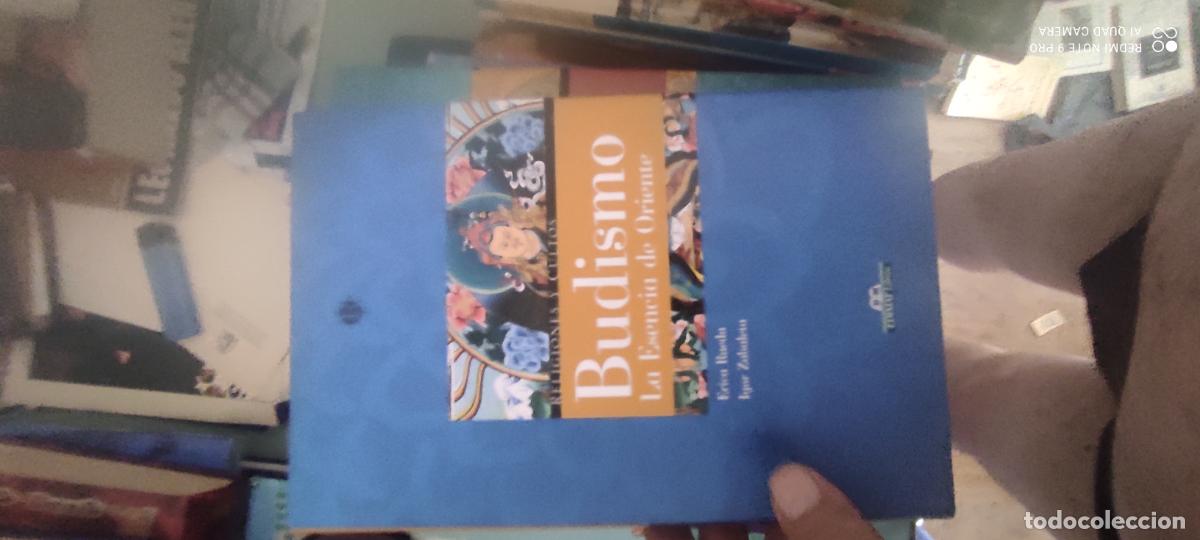 Libros de segunda mano: Budismo la esencia de Oriente Erica Rueda Igor Zabaleta