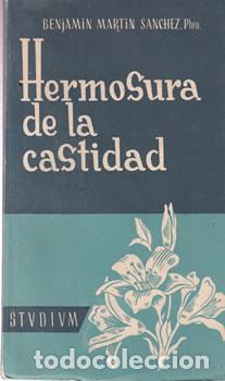 Libros de segunda mano: Hermosura de la castidad - Benjam&iacute;n Mart&iacute;n S&aacute;nchez