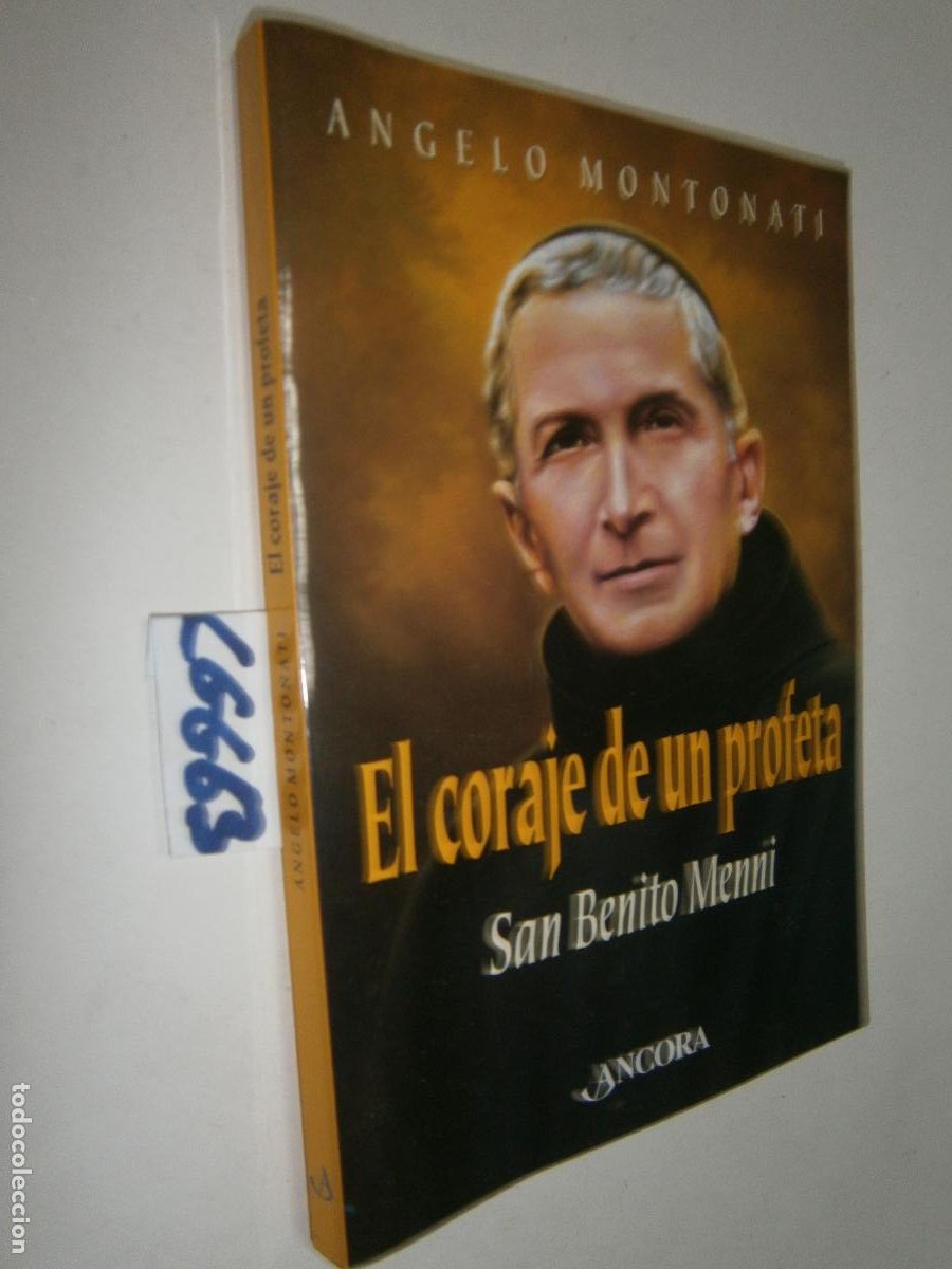 Libros de segunda mano: EL CORAJE DE UN PROFETA: SAN BENITO MENNI