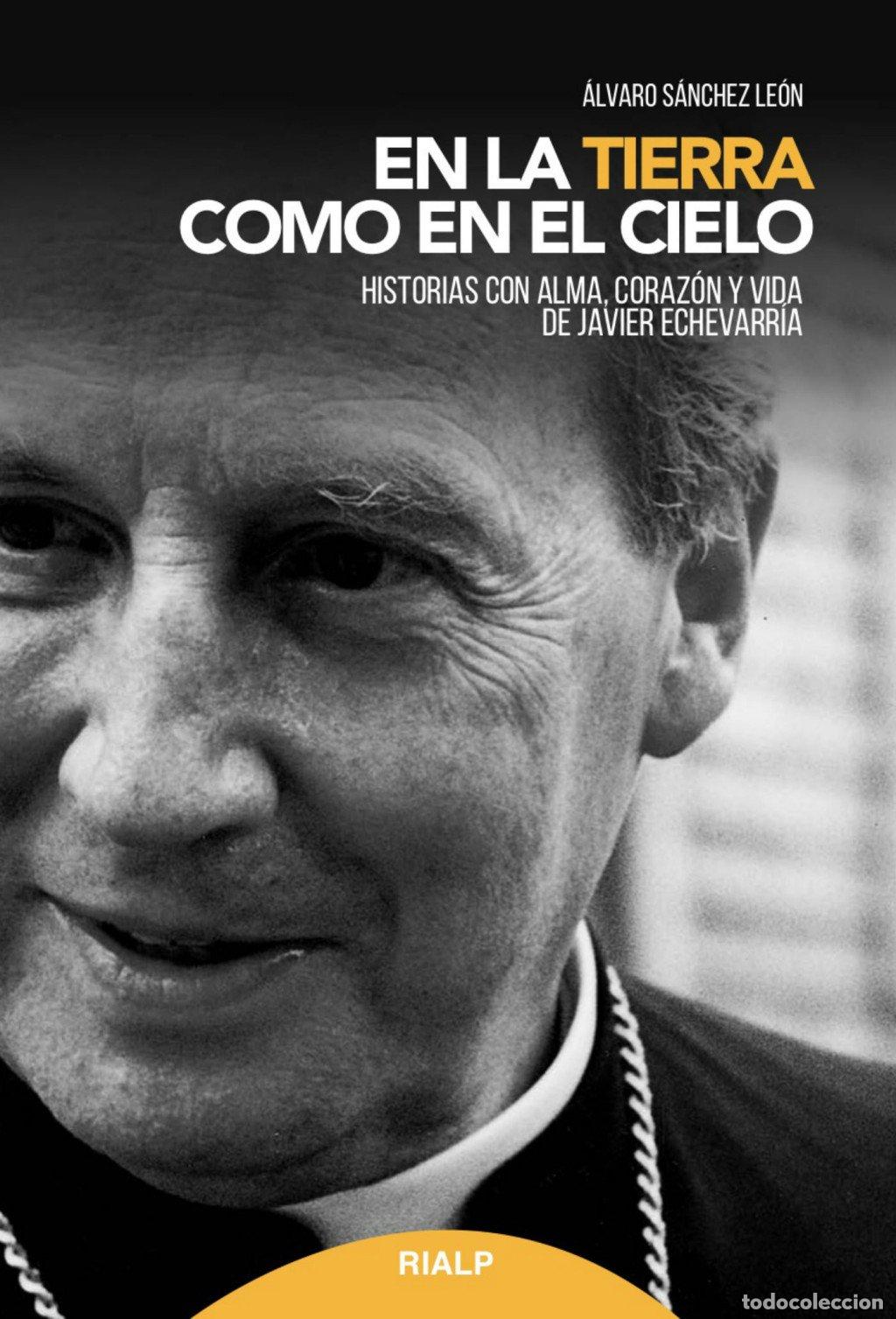 Libros de segunda mano: En la Tierra Como en el Cielo: Historias con Alma, Coraz&oacute;n y Vida - &Aacute;lvaro S&aacute;nchez Le&oacute;n - Rialp