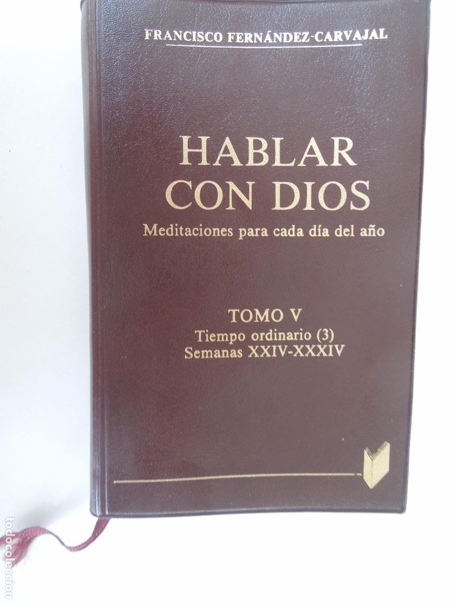 Libros de segunda mano: HABLAR CON DIOS-TOMO V-TIEMPO ORDINARIO (3)-FRANCISCO FERN&Aacute;NDEZ-CARVAJAL EDICIONES PALABRA 1998.