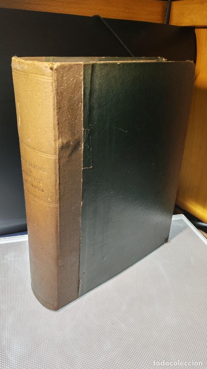 Libros de segunda mano: Tomo de Historia de la Compa&ntilde;&iacute;a de Jes&uacute;s (Jesuitas) en Galicia. ⁠Colegio Ap&oacute;stol Santiago.