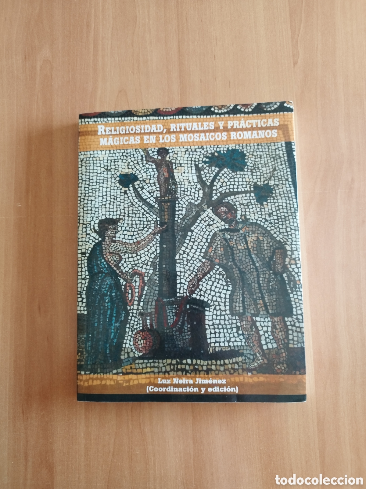 Libros de segunda mano: RELIGIOSIDAD RITUALES Y PR&Aacute;CTICAS M&Aacute;GICAS DE LOS MOSAICOS ROMANOS