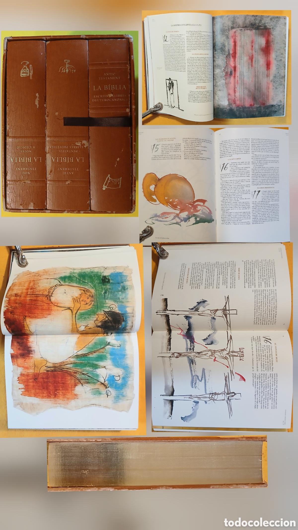 Libros de segunda mano: la Biblia Catalana, il&bull;lustracions Perico Pastor