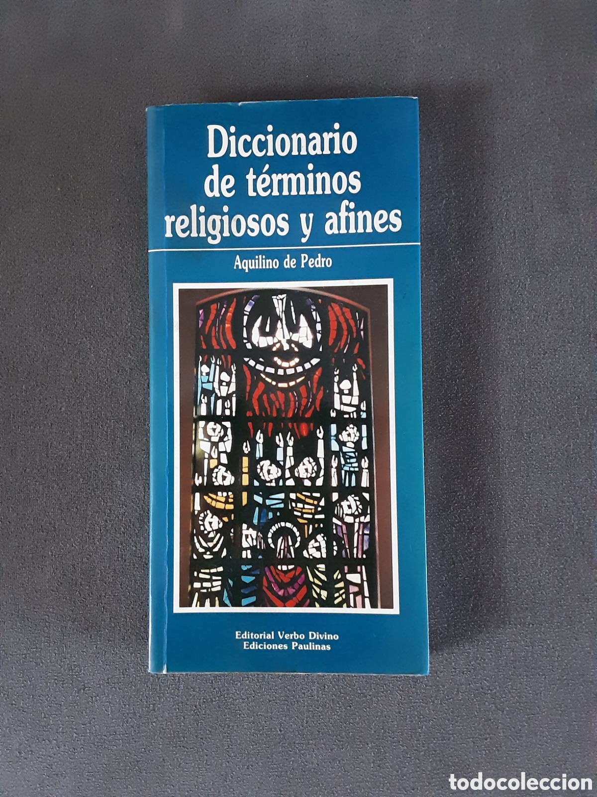 Libros de segunda mano: DICCIONARIO DE TERMINOS RELIGIOSOS Y AFINES POR AQUILINO DE PEDRO 1990 ED. VERBO DIVINO
