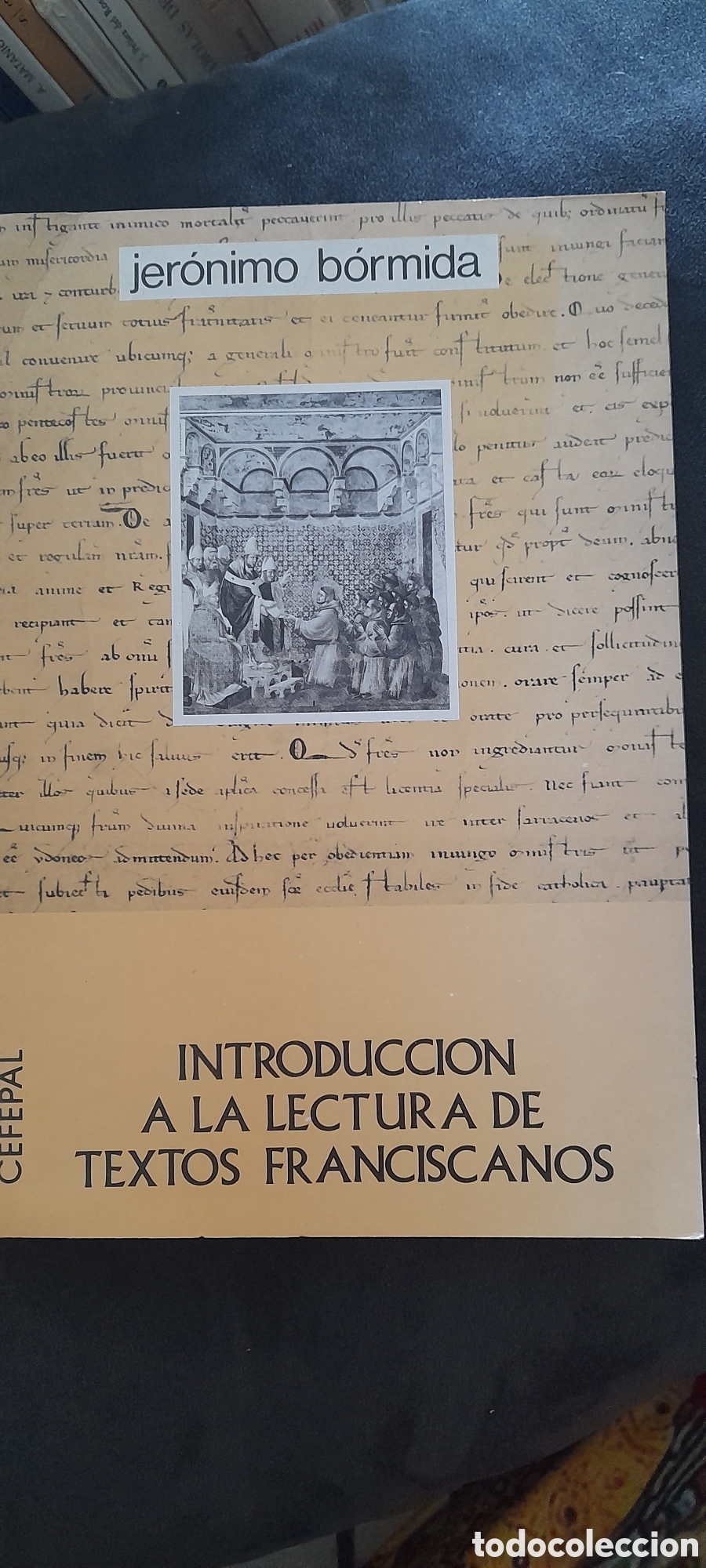 Libros de segunda mano: Introducci&oacute;n a la lectura de textos franciscanos. Jer&oacute;nimo B&oacute;rmida