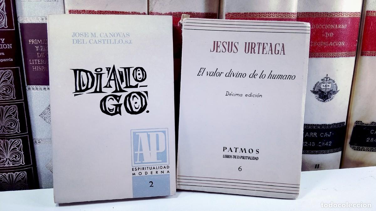 Gebrauchte B&uuml;cher: EL VALOR DIVINO DE LO HUMANO. JES&Uacute;S URTEAGA / DI&Aacute;LOGO. Jos&eacute; M. C&aacute;novas del Castillo, S.J.