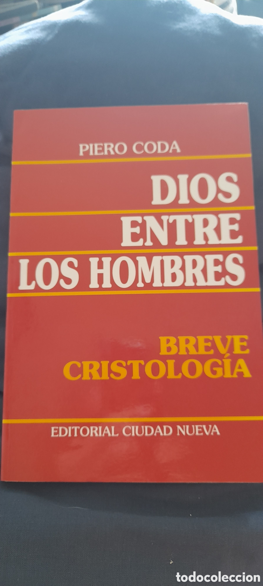 Libros de segunda mano: Dios entre los hombres. Piero Coda