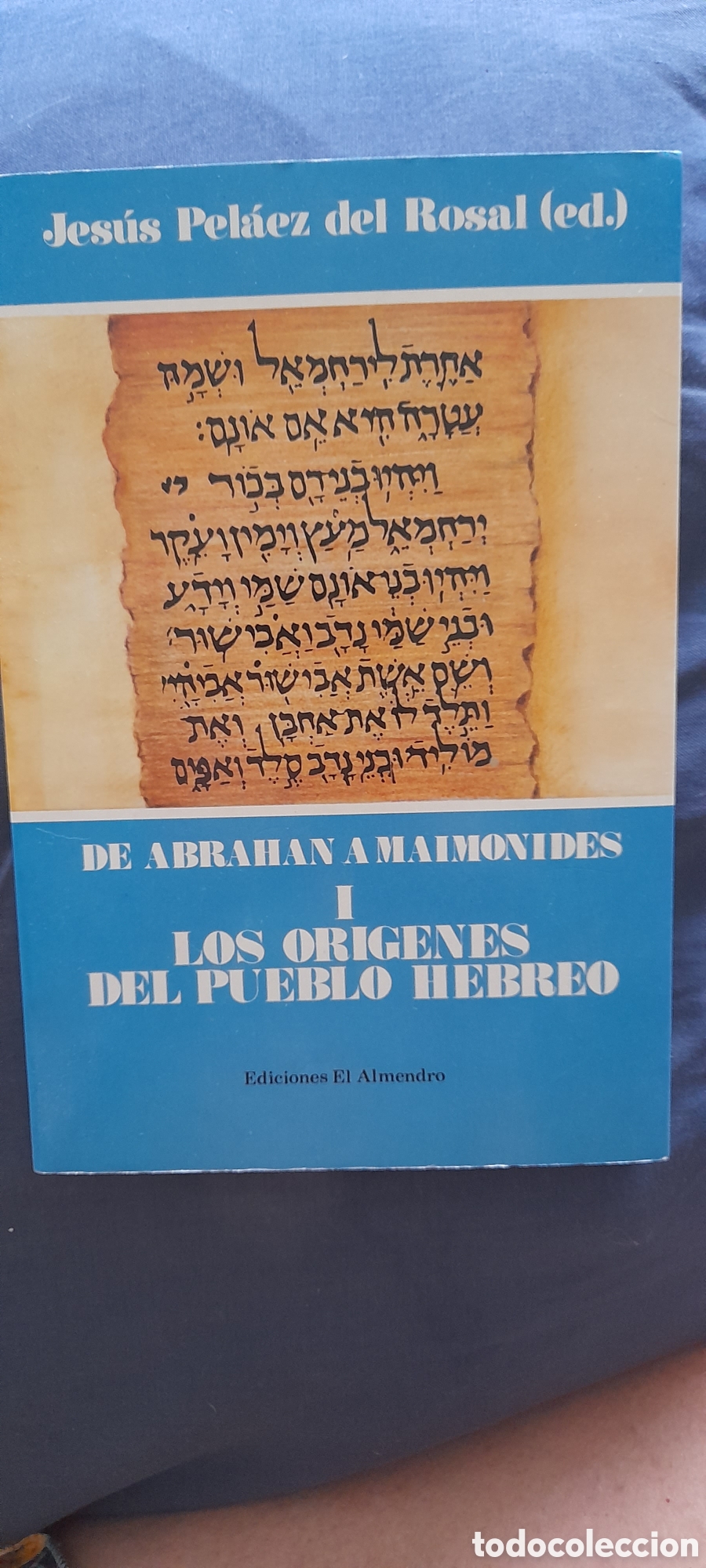 Libros de segunda mano: Los or&iacute;genes del pueblo hebreo l. Jes&uacute;s Pelaez del Rosal