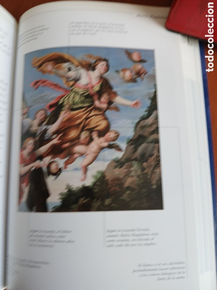 Libros de segunda mano: Santos. Rosa Giorgi. - Foto 14