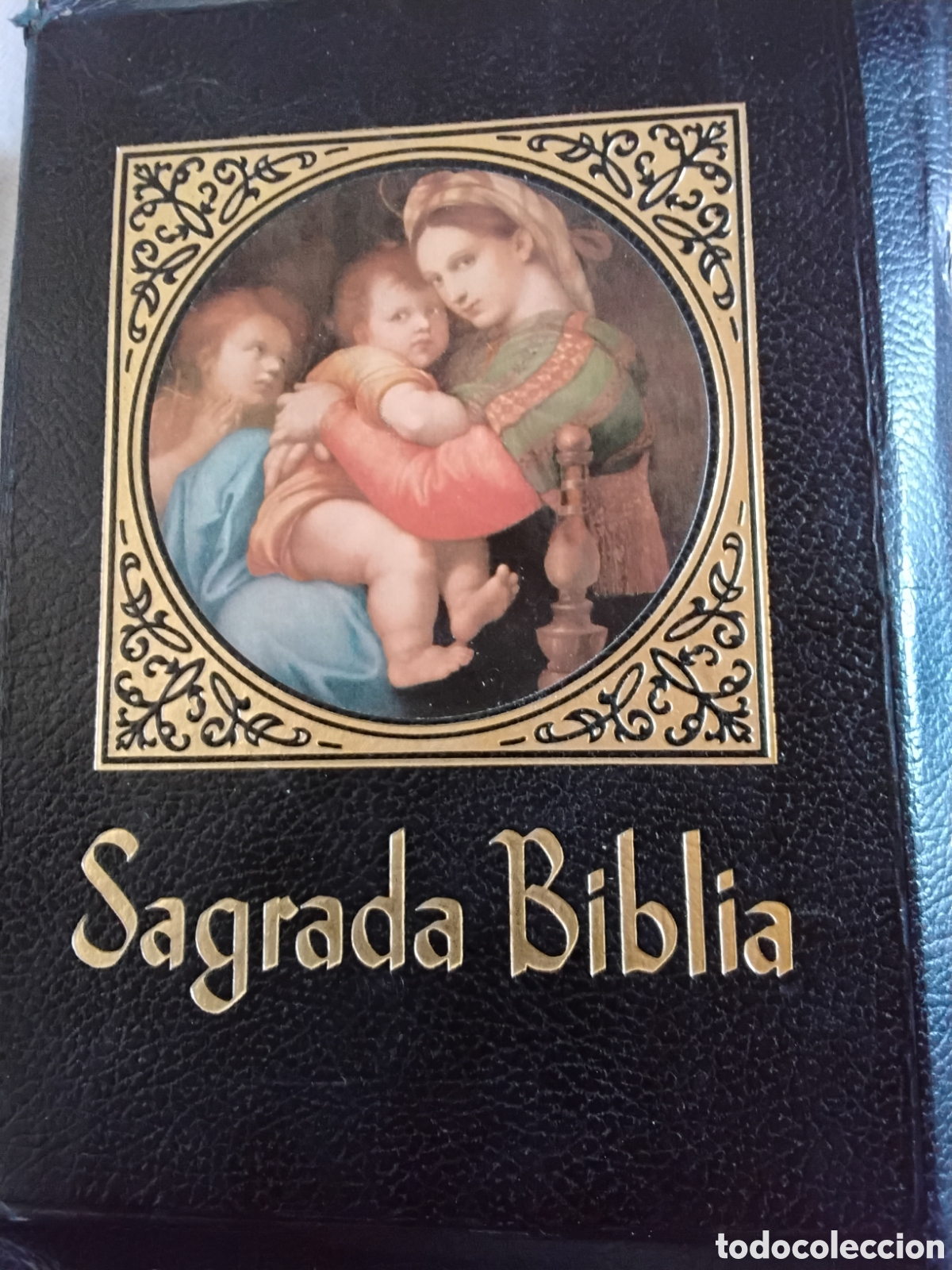 Libros de segunda mano: SAGRADA BIBLIA. EDICI&Oacute;N FAMILIAR CAT&Oacute;LICA.