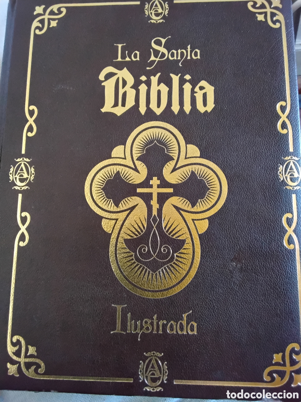 Libros de segunda mano: LA SANTA BIBLIA. ILUSTRADA. ED ABANTERA. PR&Oacute;LOGO DE PALOMA G&Oacute;MEZ BORRERO