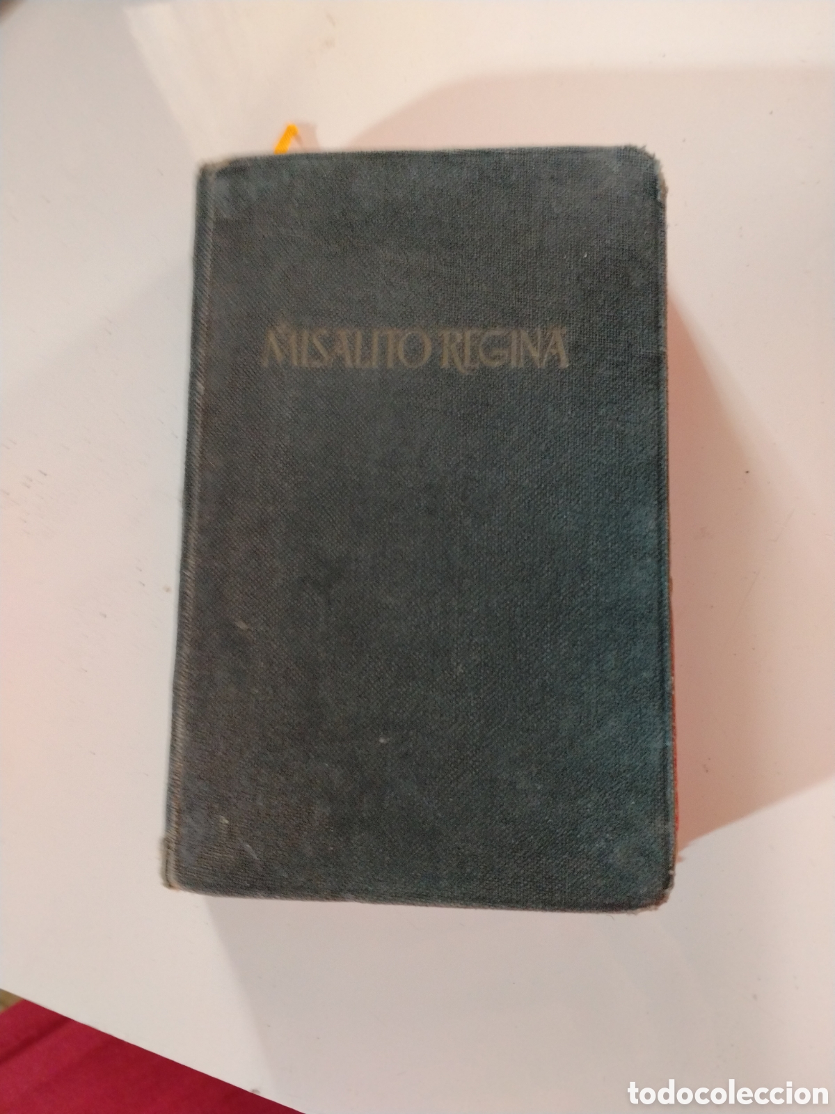 Libros de segunda mano: MISALITO REGINA - PARA NI&Ntilde;OS - P. LUIS RIBERA - EDITORIAL REGINA 1959.