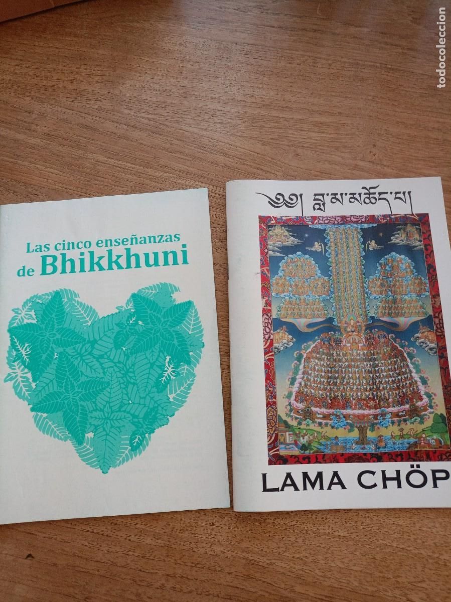 Libros de segunda mano: DOS MANUALES SOBRE BUDISMO.