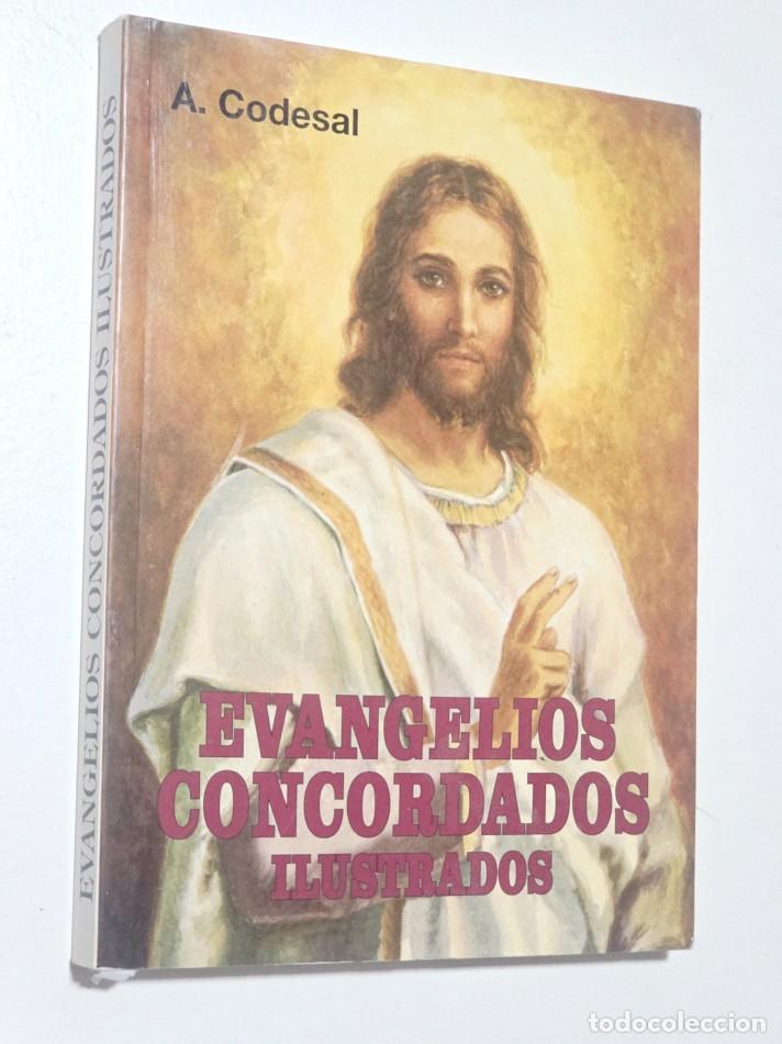 Libros de segunda mano: EVANGELIOS CONCORDADOS ILSTRADOS - CODESAL, A.