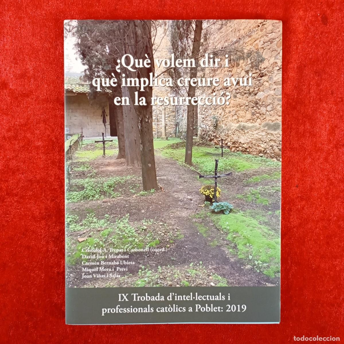 Libros de segunda mano: &iquest;QU&Egrave; VOLEM DIR I QU&Egrave; IMPLICA CREURE AVUI EN LA RESURRECCI&Oacute;? - CRIST&Ograve;FOL A. TREPAT - 2019 / 4809