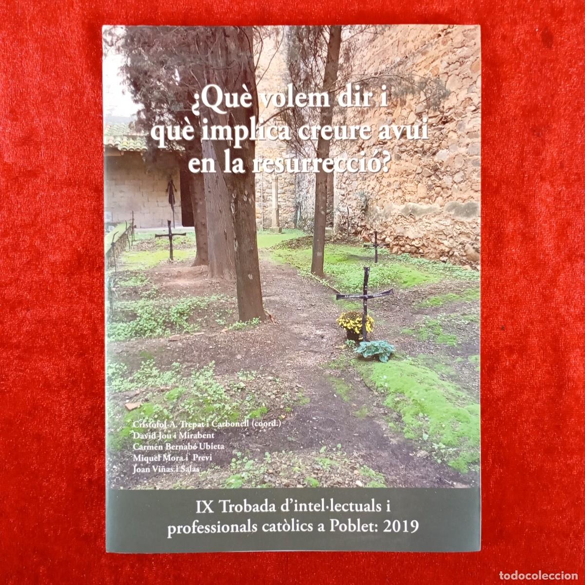 Libros de segunda mano: &iquest;QU&Egrave; VOLEM DIR I QU&Egrave; IMPLICA CREURE AVUI EN LA RESURRECCI&Oacute;? - CRIST&Ograve;FOL A. TREPAT - 2019 / 4810
