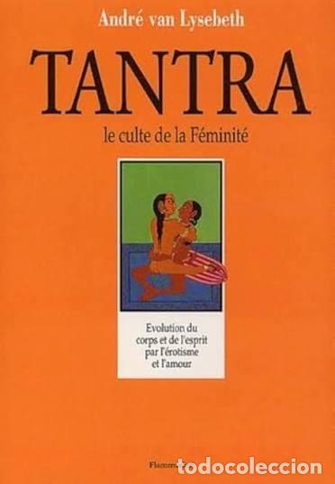 Libros de segunda mano: Le Tantra, Le Culte de La F&eacute;minit&eacute;. Andre Van Lysebeth - Flamarion,1996