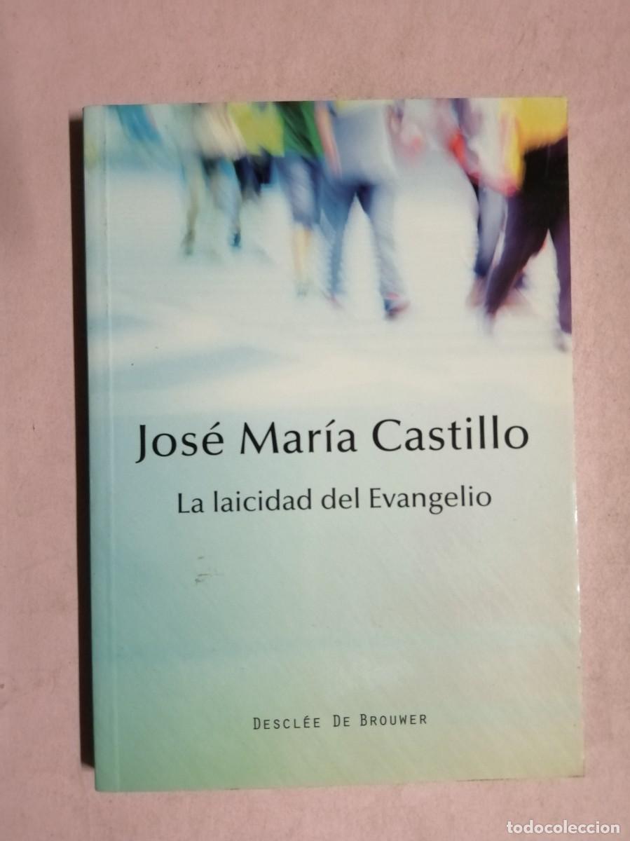 Libros de segunda mano: LA LAICIDAD DEL EVANGELIO (JOSE MARIA CASTILLO)