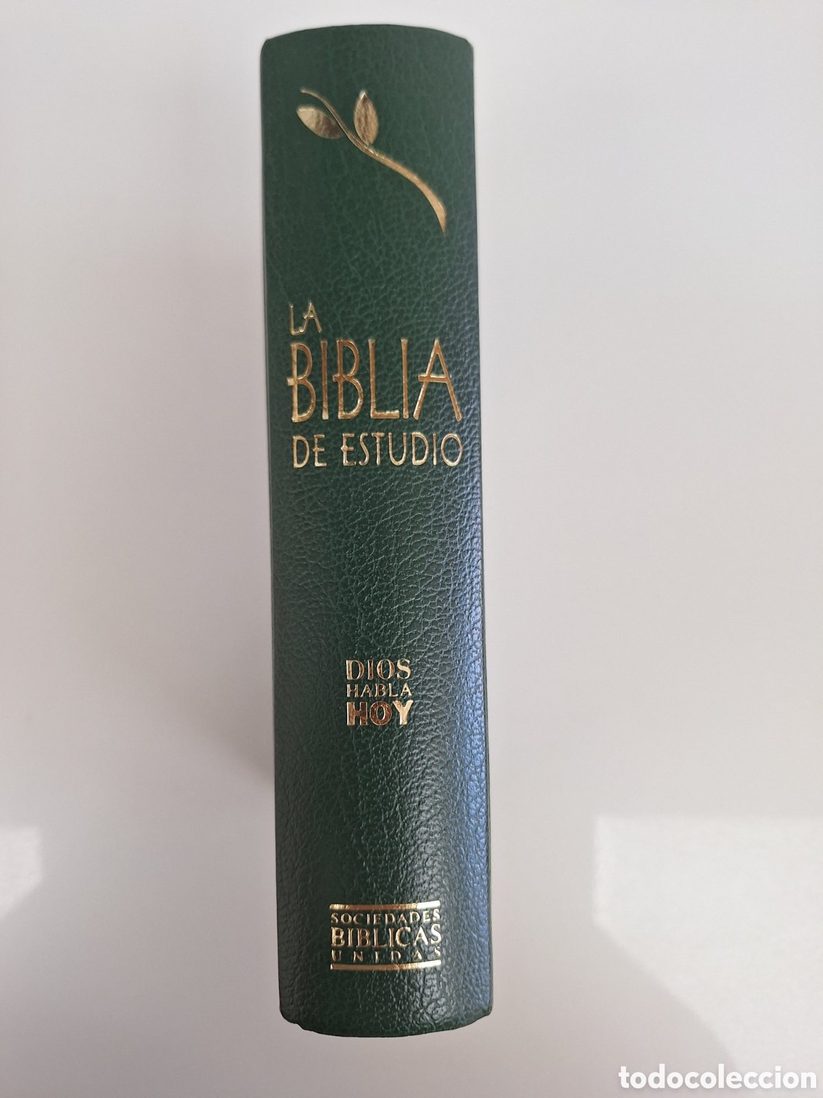 Livros em segunda m&atilde;o: La Biblia de Estudio Dios Habla Hoy