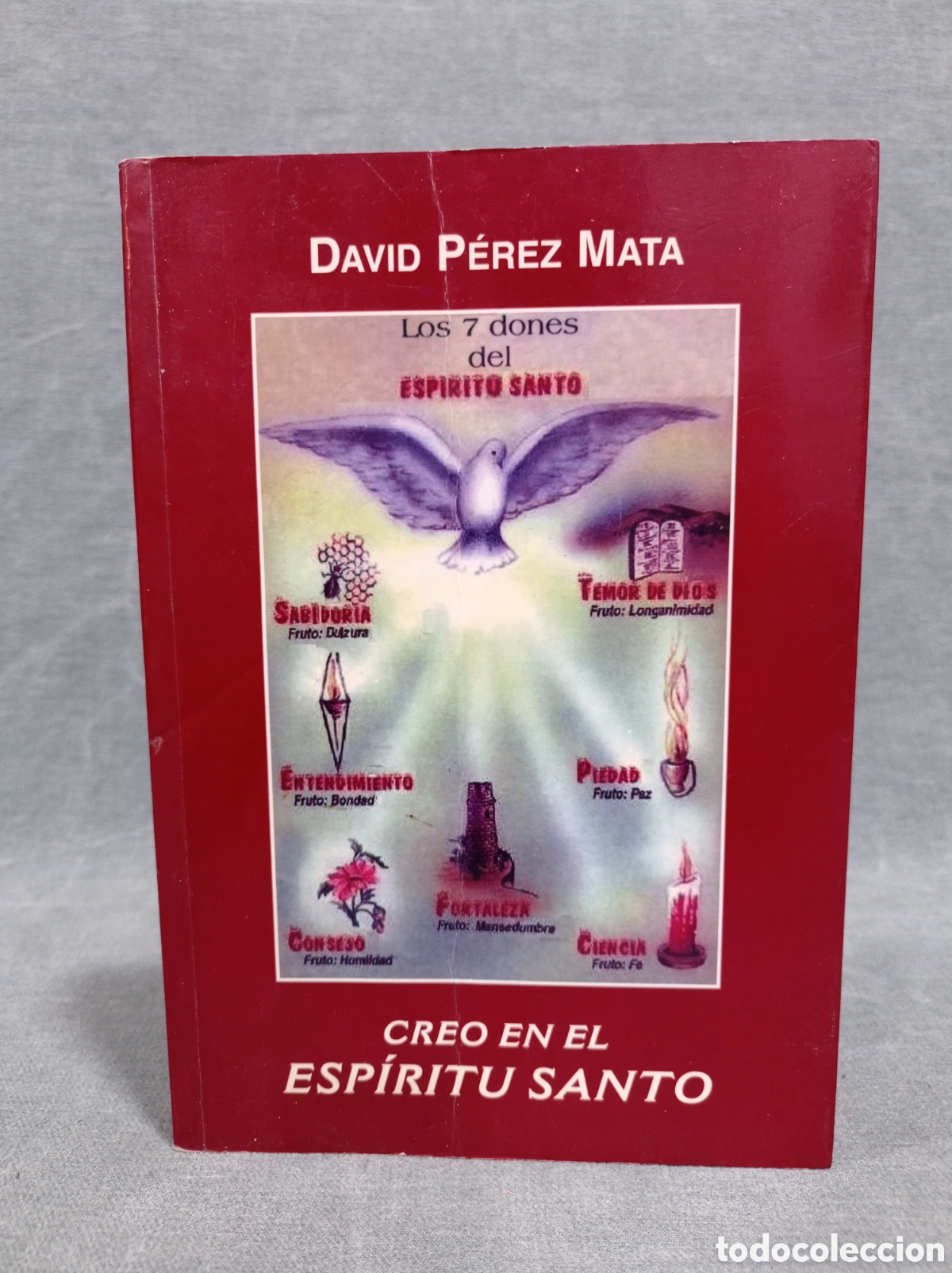 Libros de segunda mano: CREO EN EL ESP&Iacute;RITU SANTO - DAVID P&Eacute;REZ MATA -