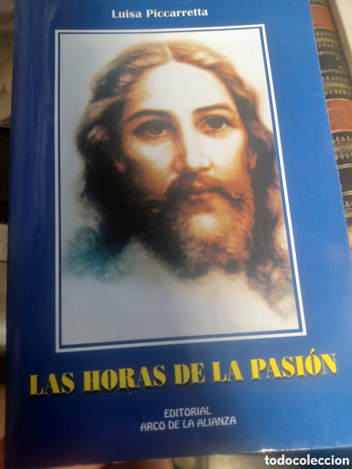 Libros de segunda mano: Las horas de la pasi&oacute;n luisa piccarretta arco alianza