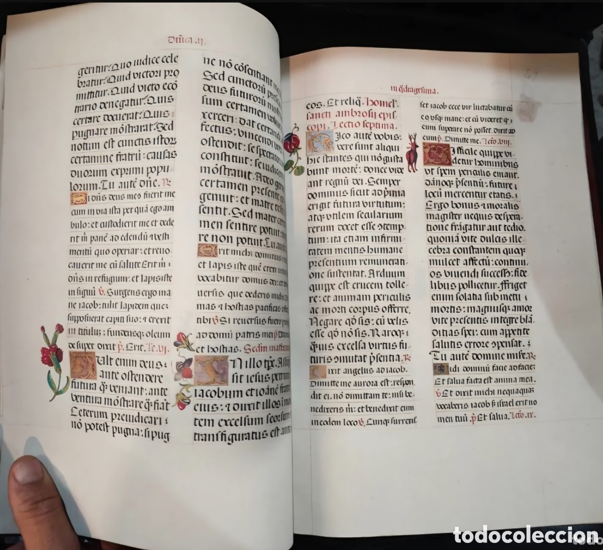Libros de segunda mano: Facsimil Libro de Horas de la Condessa de Bertiandos. S&oacute;lo el facsimil. - Foto 3