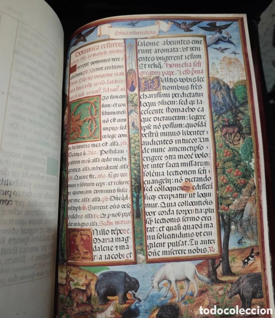 Libros de segunda mano: Facsimil Libro de Horas de la Condessa de Bertiandos. S&oacute;lo el facsimil.