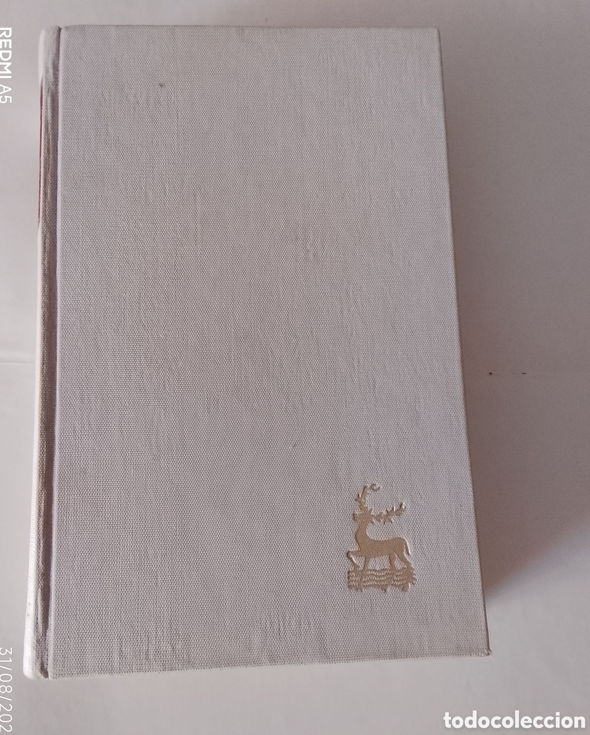 Libros de segunda mano: 1985.Codigo de derecho can&oacute;nico. 5&deg; edicion - Foto 3