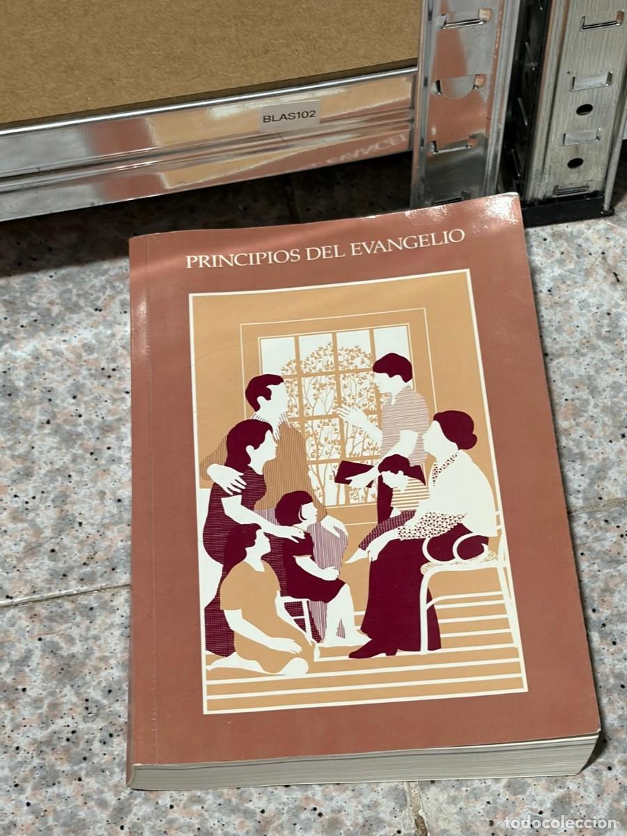 Libros de segunda mano: BLAS102 &mdash; Principios del Evangelio &mdash; - &mdash; -