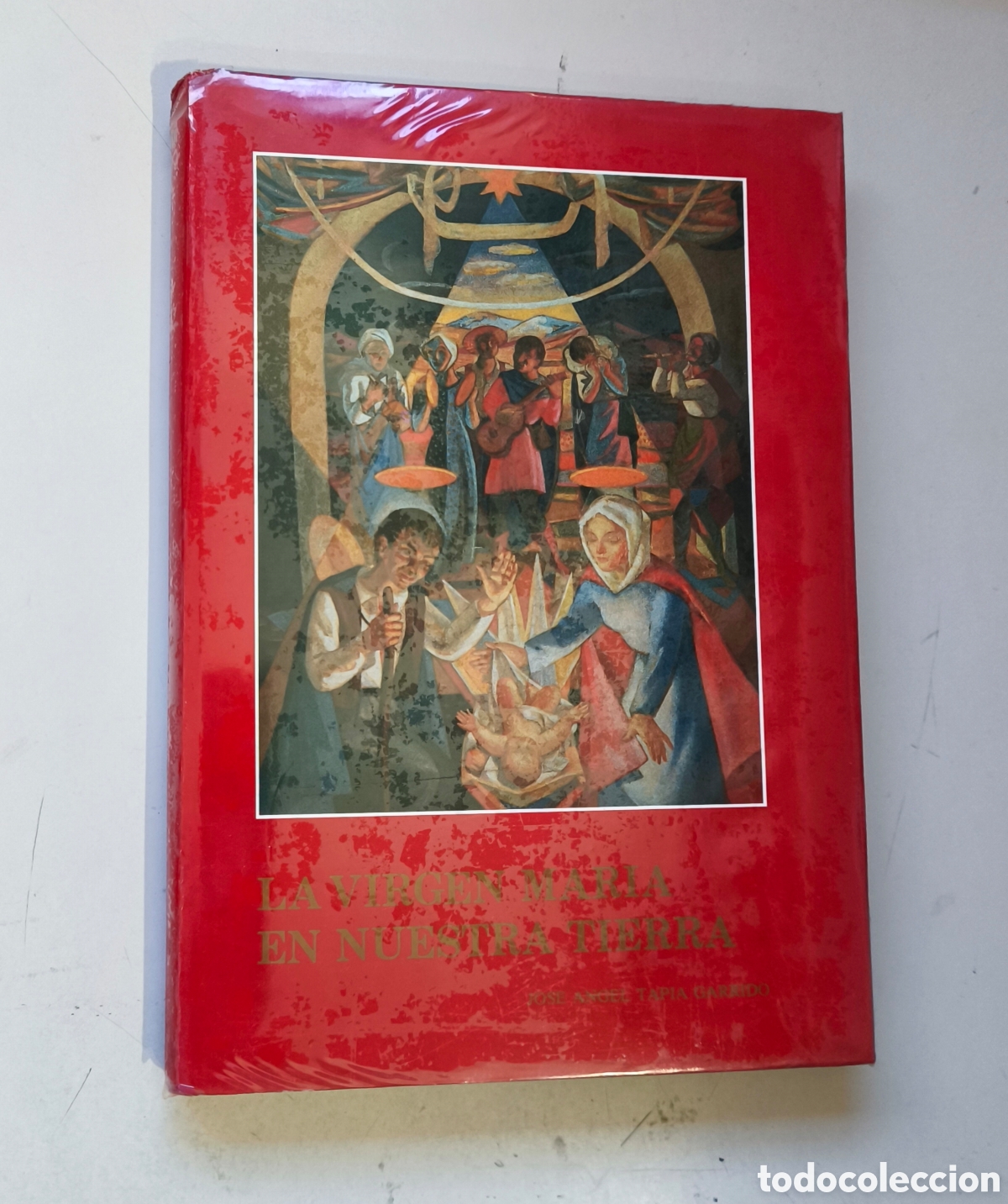 Libros de segunda mano: LA VIRGEN MARIA EN NUESTRA TIERRA. TAPIA GARRIDO, JOSE ANGEL