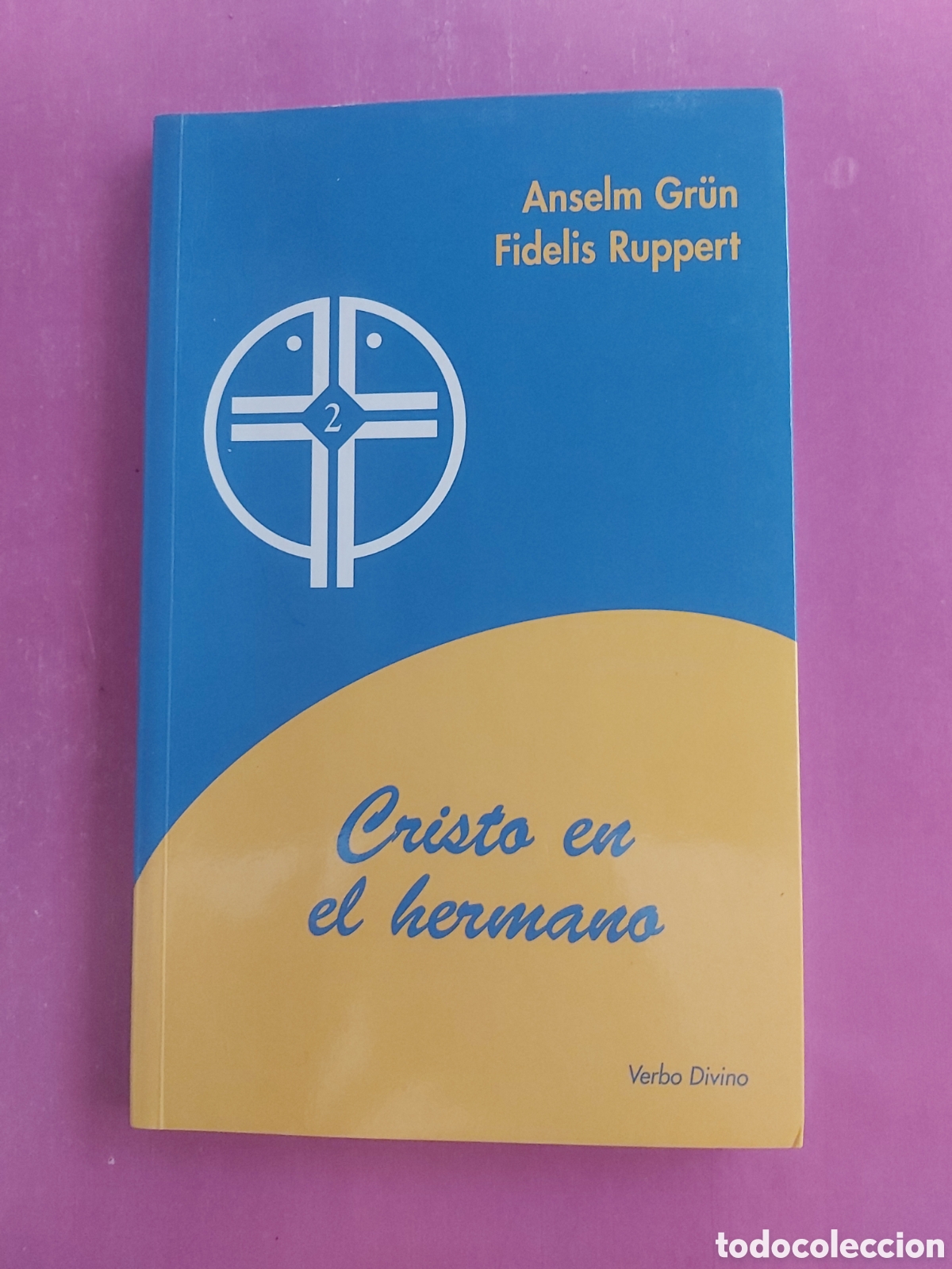 Libros de segunda mano: CRISTO EN EL HERMANO ANSELM GRUN FIDELIS RUPPERT VERBO DIVINO 2002