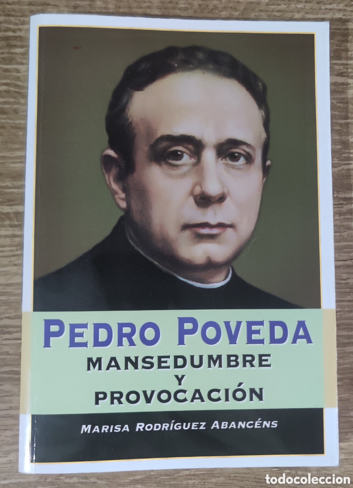 Libros de segunda mano: Libro - Pedro Poveda. Mansedumbre y provocaci&oacute;n (2003) Marisa Rodr&iacute;guez Abanc&eacute;ns