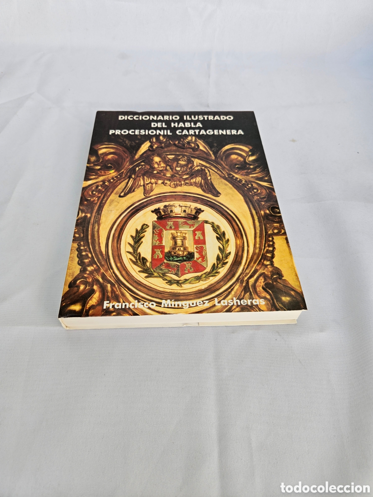 Libros de segunda mano: DICCIONARIO ILUSTRADO DEL HABLA PROCESIONIL CARTAGENERA. FRANCISCO MINGUEZ LASHERAS