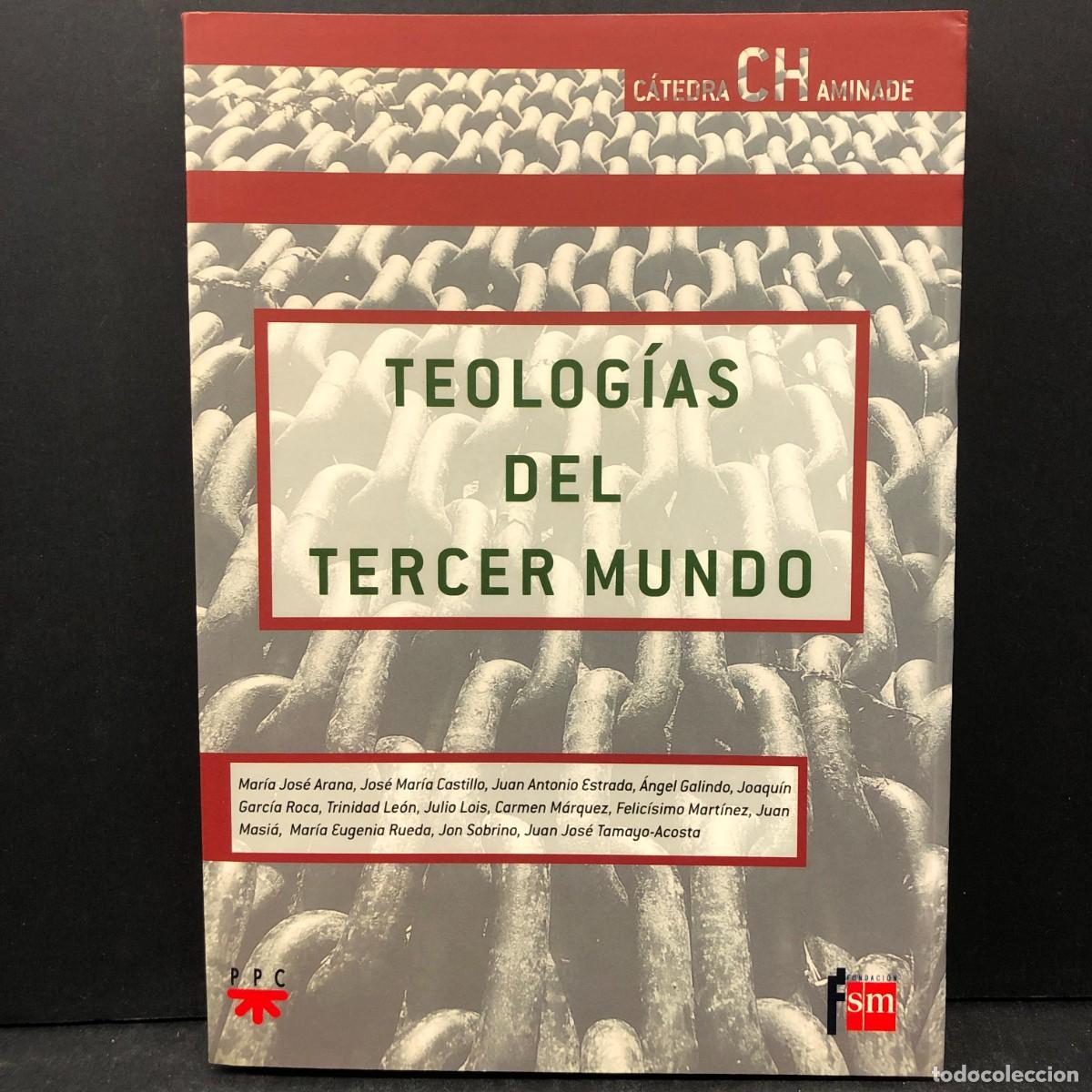 Libros de segunda mano: TEOLOG&Iacute;AS DEL TERCER MUNDO - C&Aacute;TEDRA CHAMINADE - PPC - SM / 1510