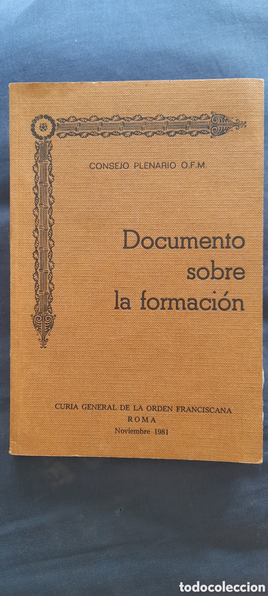 Libros de segunda mano: Documento sobre la formaci&oacute;n. Consejo plenario