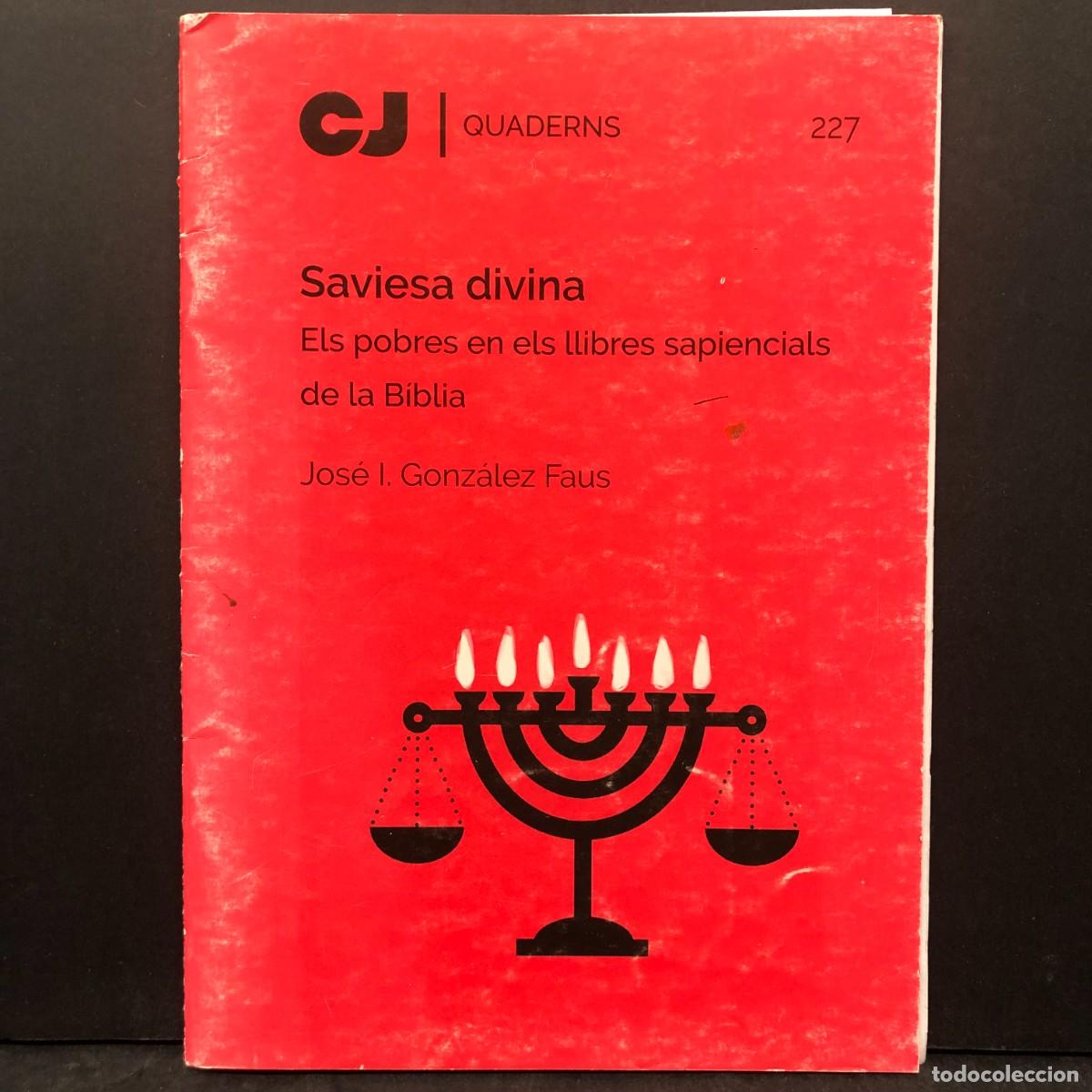 Libros de segunda mano: SAVIESA DIVINA - ELS POBRES EN ELS LLIBRES SAPIENCIALS DE LA B&Iacute;BLIA - JOS&Eacute; I. GONZ&Aacute;LEZ FAUS / 1625