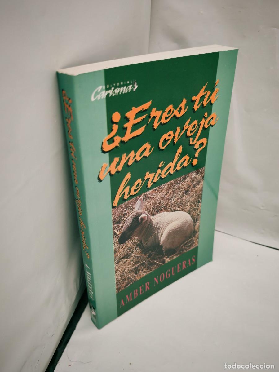 Libros de segunda mano: Eres t&uacute; una oveja herida? - Foto 3