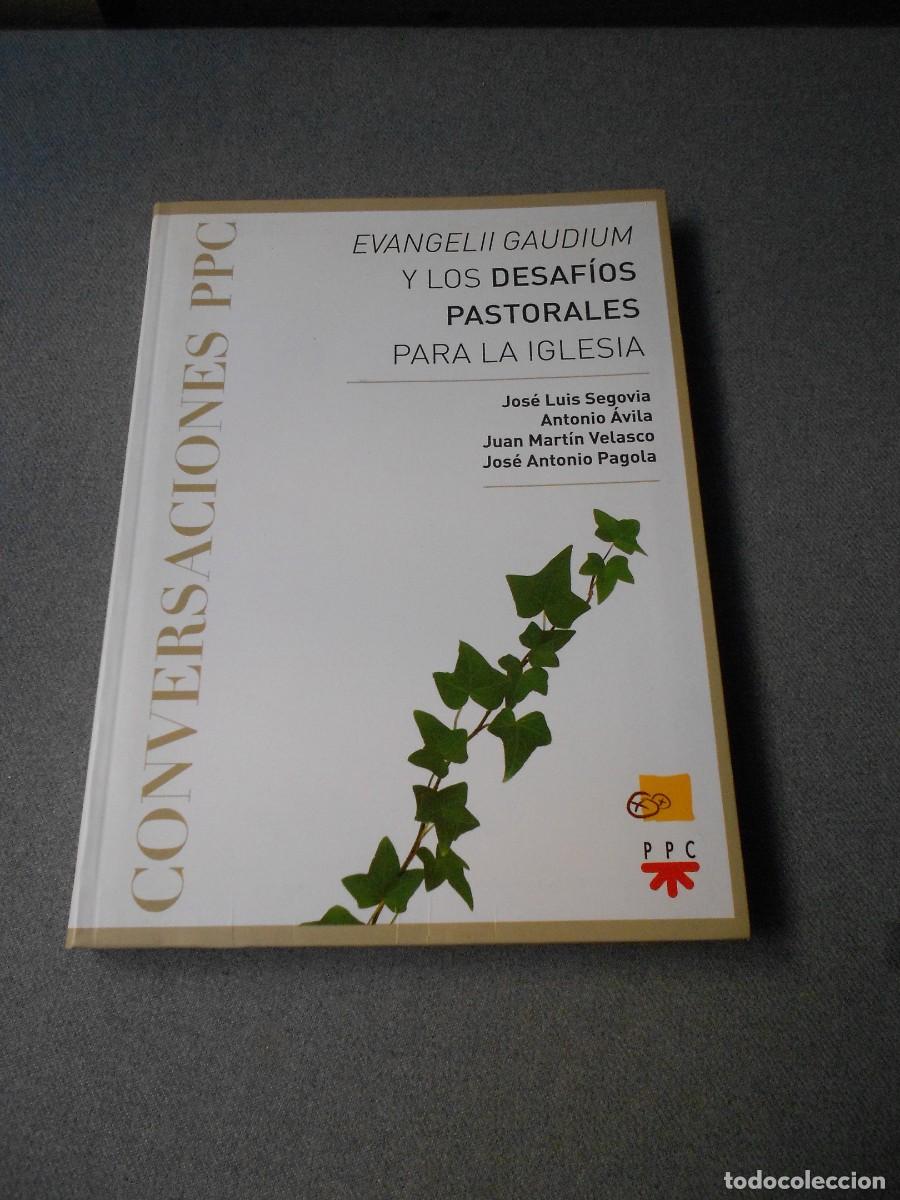 Libros de segunda mano: EVANGELII GAUDIM Y LOS DESAFIOS PASTORALES PARA LA IGLESIA