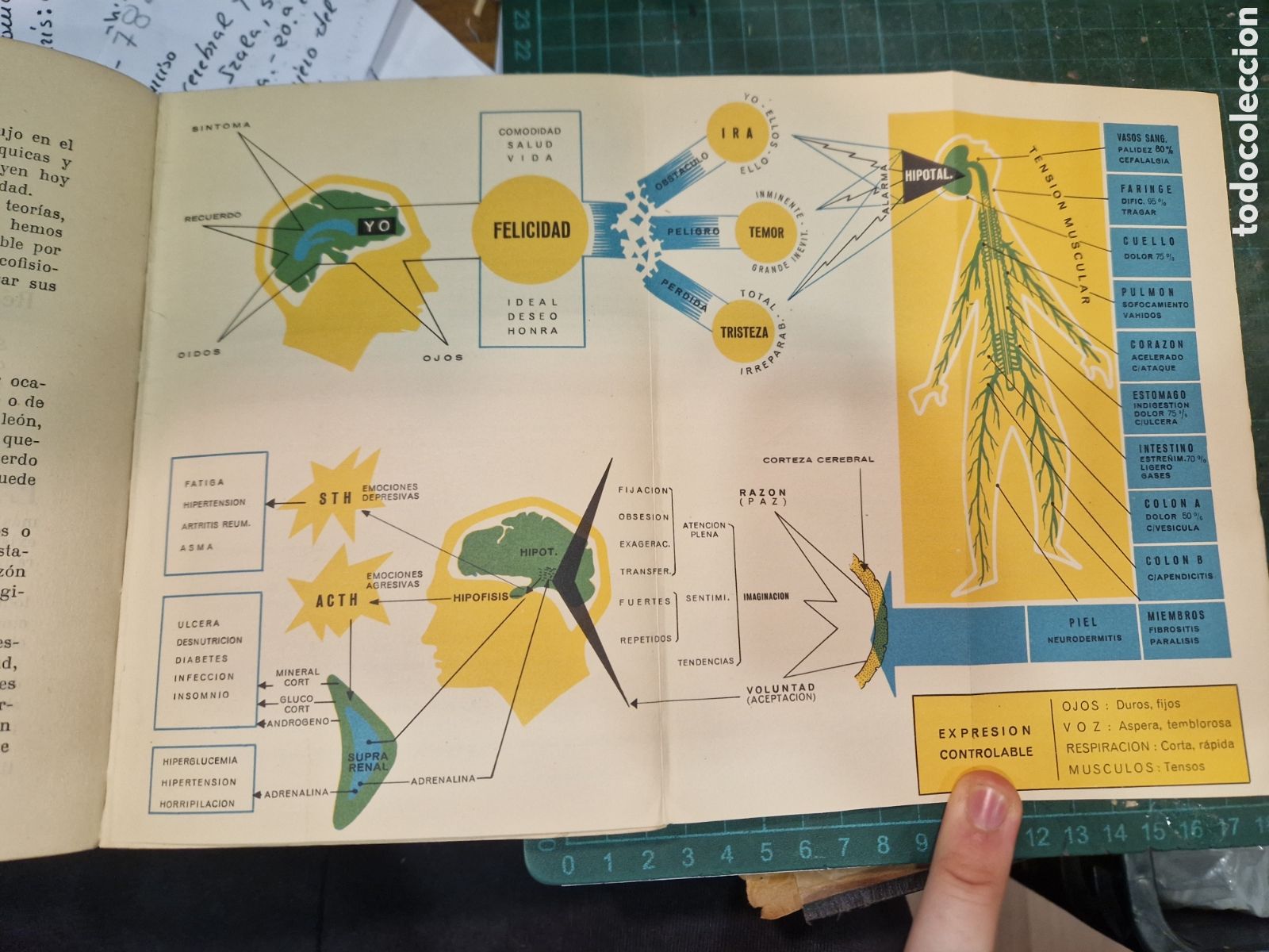 Libros de segunda mano: IRALA, Narciso. Control cerebral y emocional - Foto 2