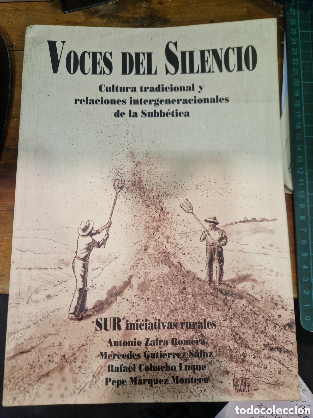 Libros de segunda mano: VOCES del silencio: Cultura tradicional y relaciones intergeneracionales de la Subb&eacute;tica