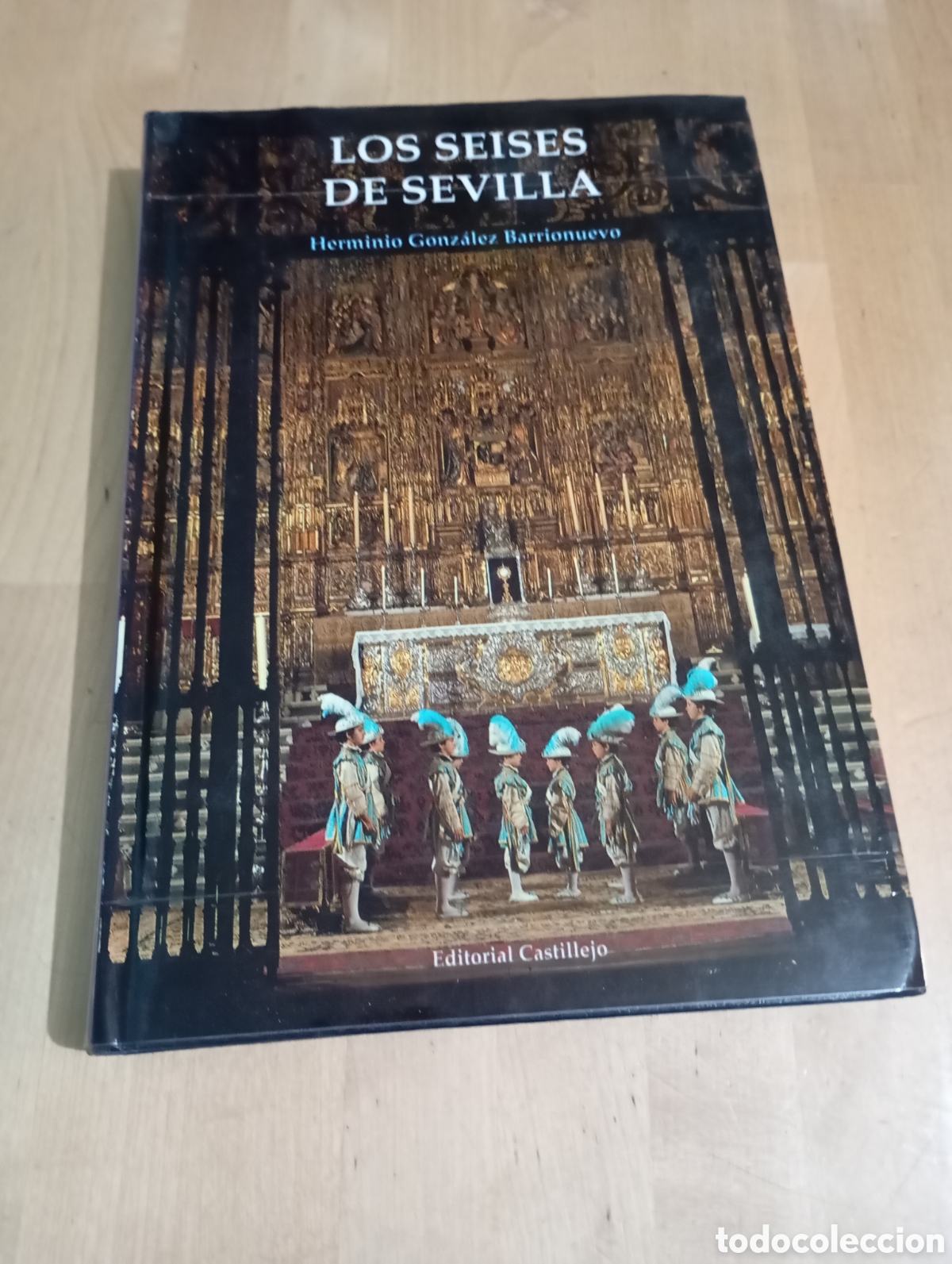 Libros de segunda mano: Los Seises de Sevilla Herminio Gonz&aacute;lez Barrionuevo 1992 Editorial Castillejo # catedral tradici&oacute;n