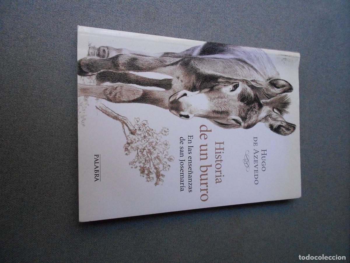 Libros de segunda mano: HISTORIA DE UN BURRO.