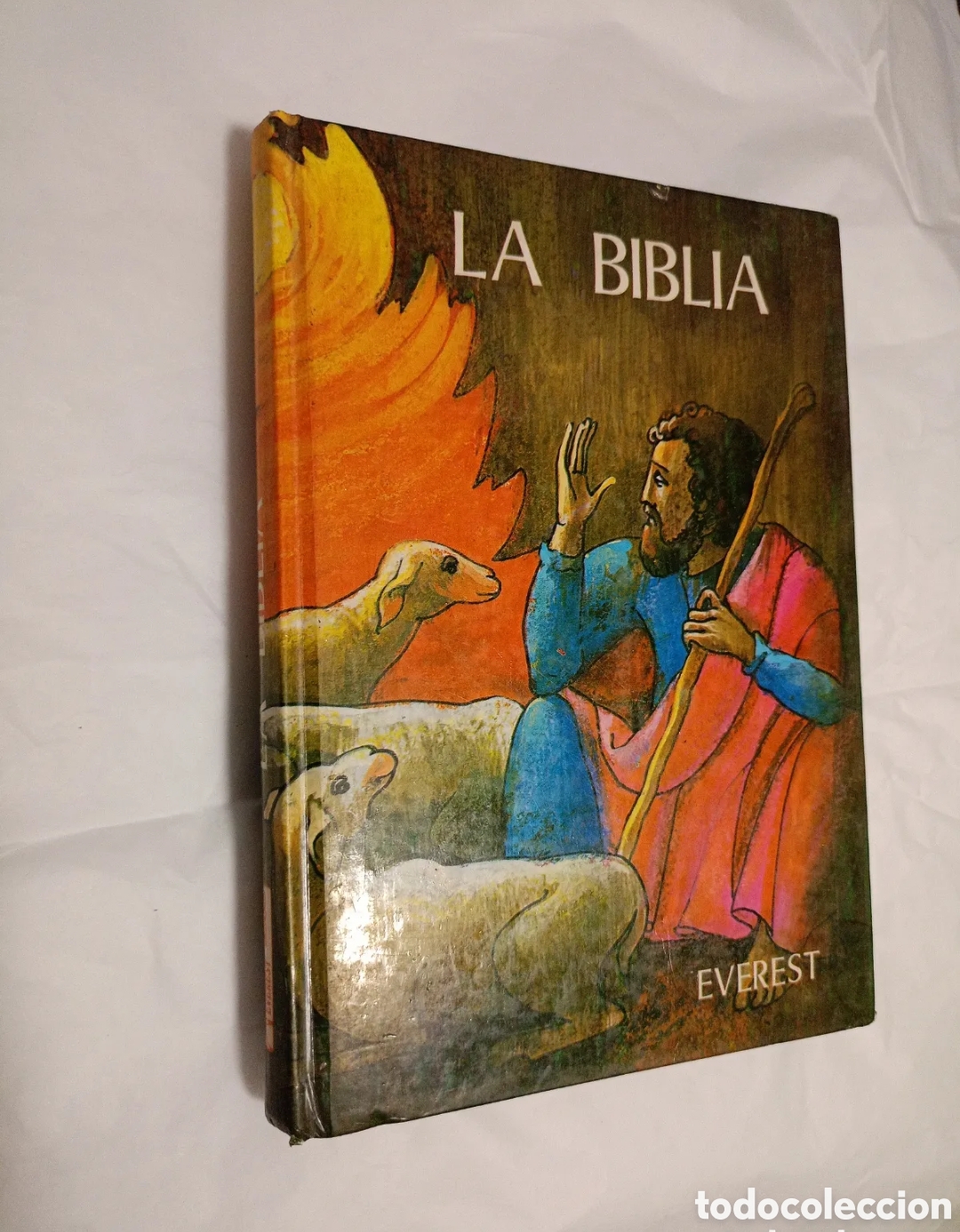 Libros de segunda mano: La Biblia de Everest