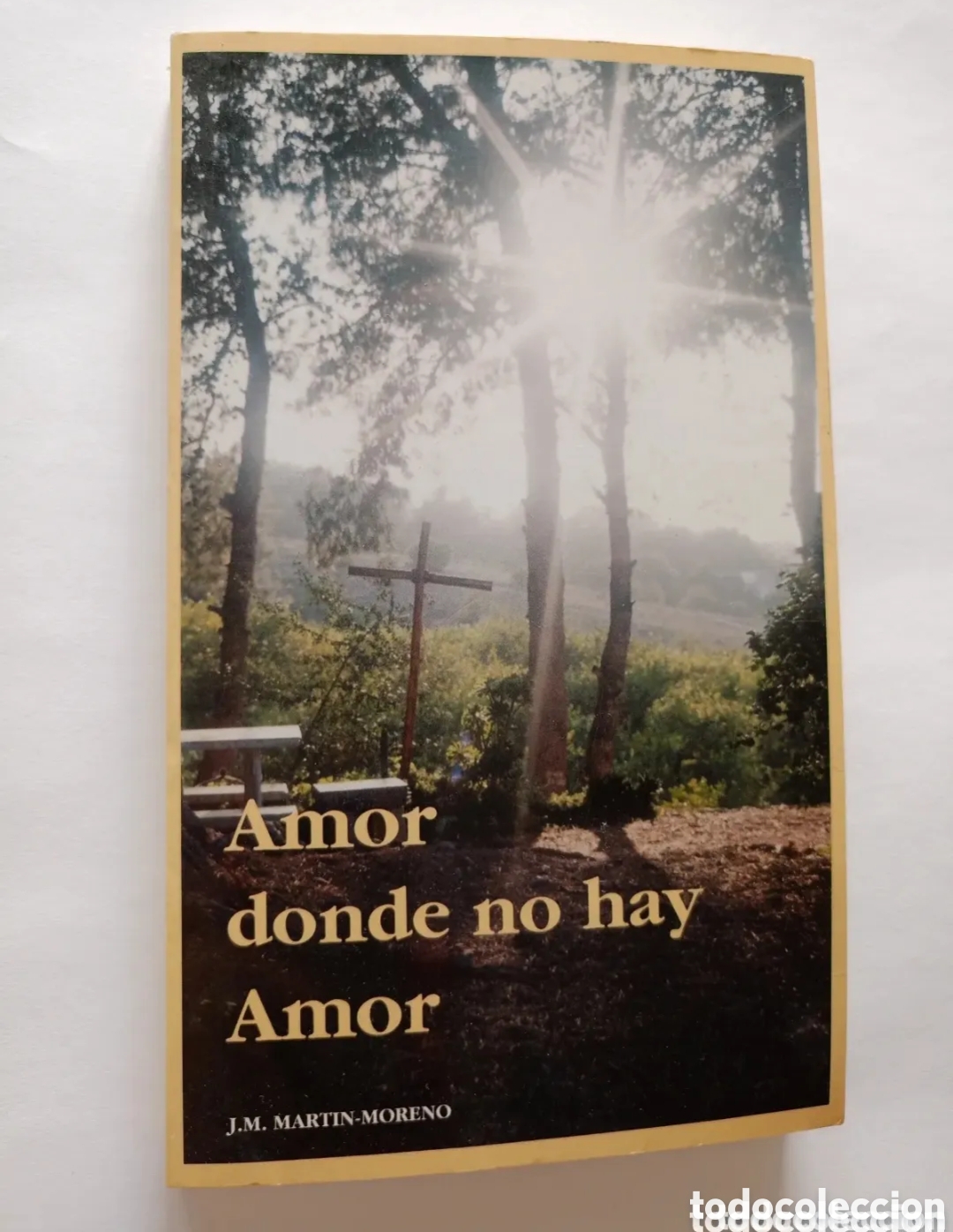 Libros de segunda mano: Amor donde no hay amor Madre Mar&iacute;a Seiquer Gaya