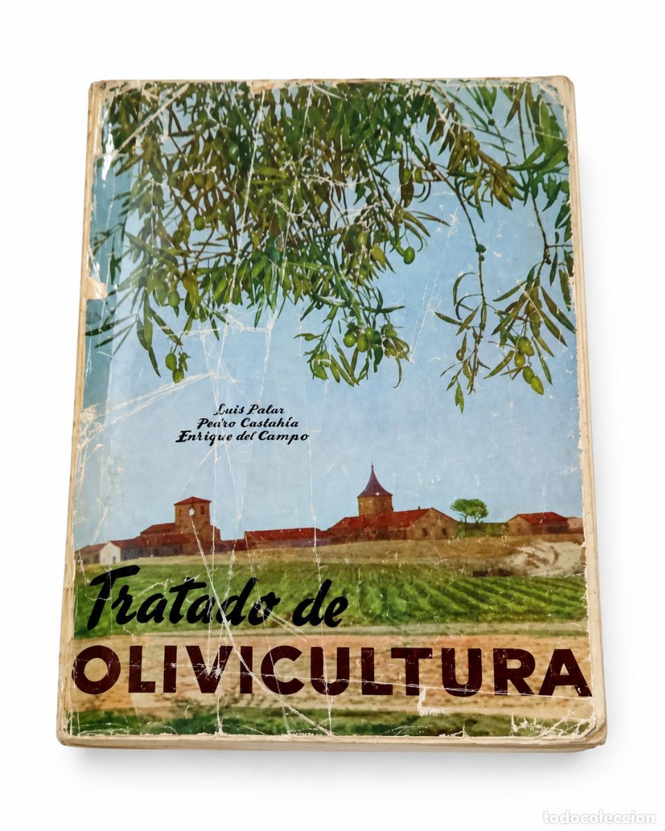 Libros de segunda mano: LUIS PALLAR &ndash; PEDRO CASTA&Ntilde;EDA &ndash; ENRIQUE DEL CAMPO &ndash; TRATADO DE OLIVICULTURA &ndash; s/e &ndash; s/f &ndash; LM